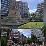 Urban Camelias Vigo