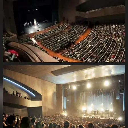 Urban Camelias * Vigo